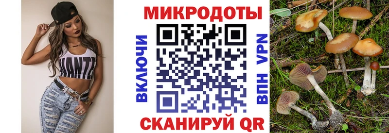Купить  Заозёрный  Псилоцибиновые грибы мухоморы 